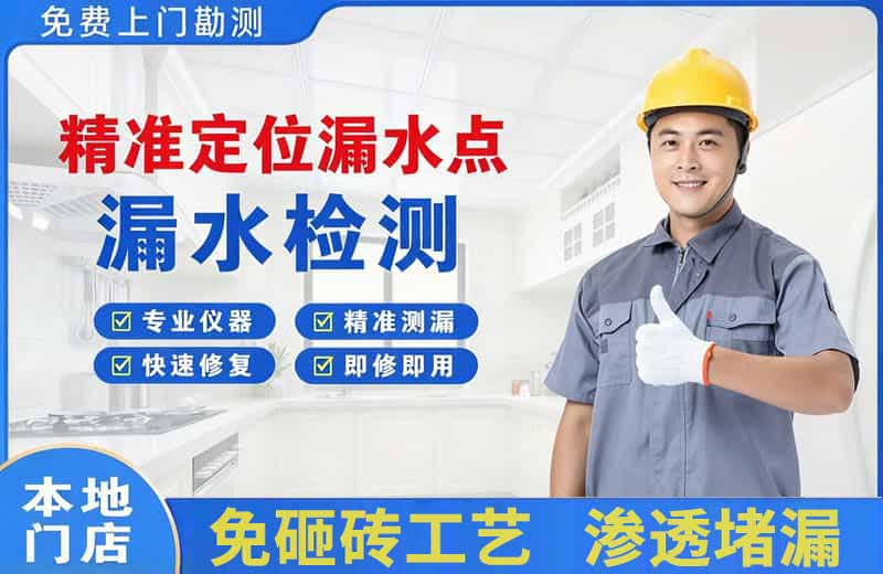 西和精准测漏点